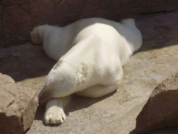 Евгения Постникова