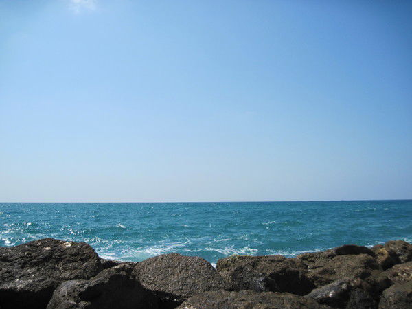 Людмила Солдатова