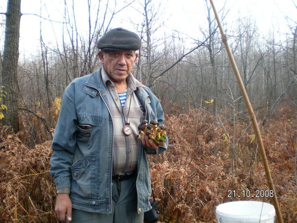 Владимир Пак