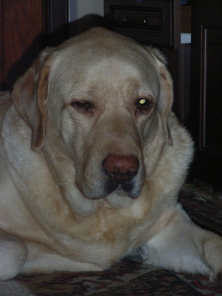 Сергей Савченко