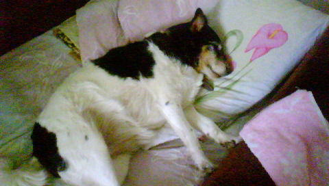 Татьяна Мокрякова