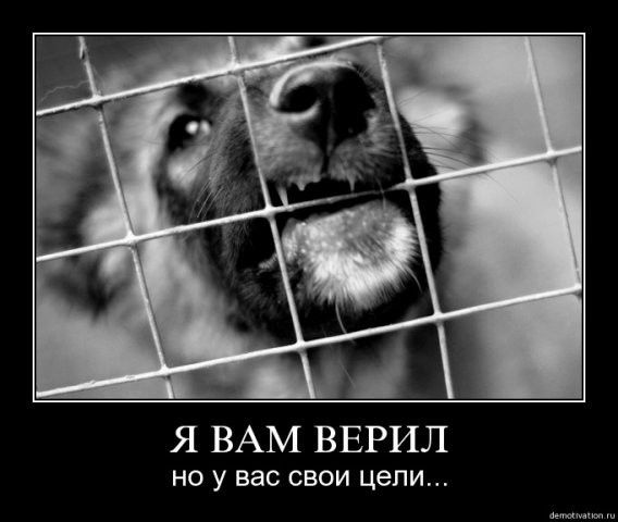 Дмитрий Силкин