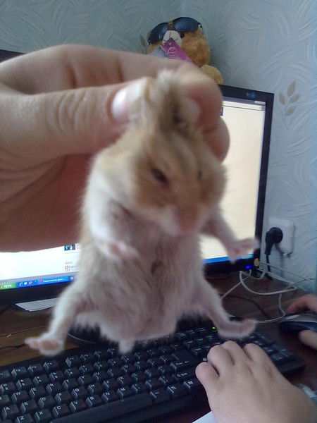 Неизвестно Неизвестно