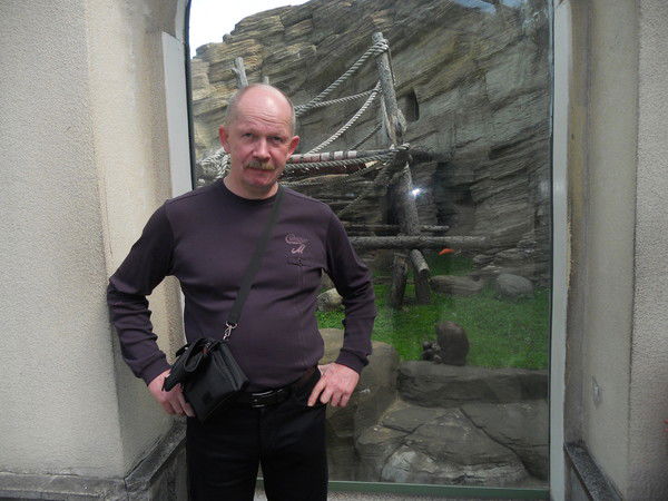 Николай Солнцев