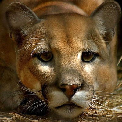 Юрий Морозов