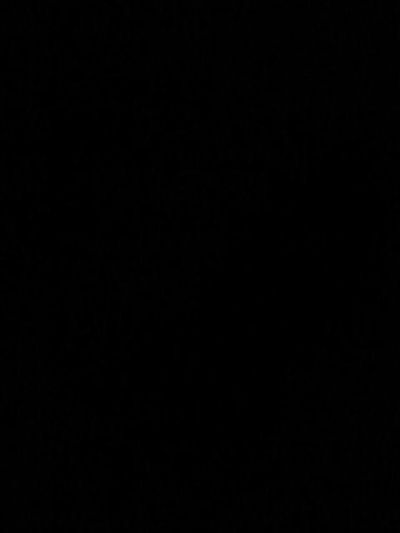 Василий Петров