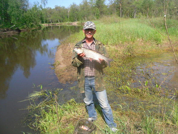 Александр Горчанин