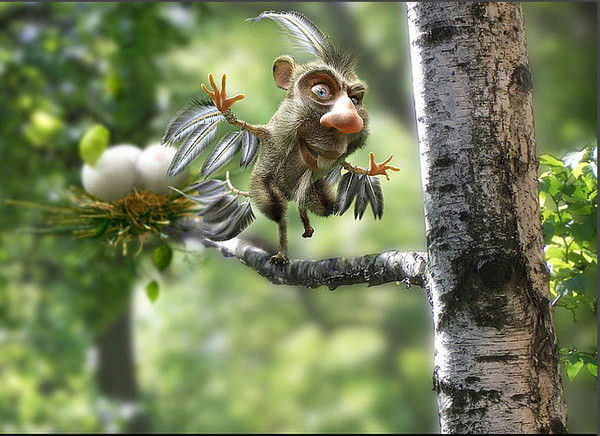 ???°?»?µ?????? ???????????°