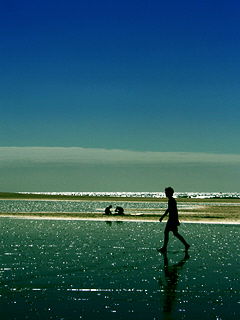 Георгий Алексеев