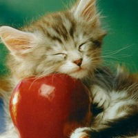 Даша Мохова