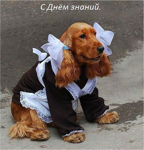 Лилия Ачатова