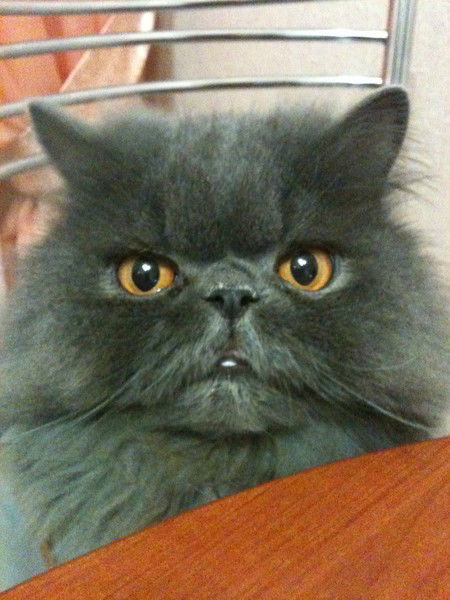 Серёга Минасов