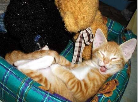 Ольга Ушакова