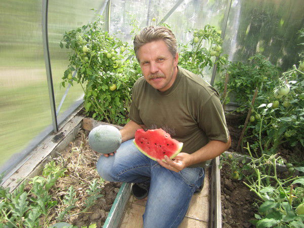 Илья Кошелев