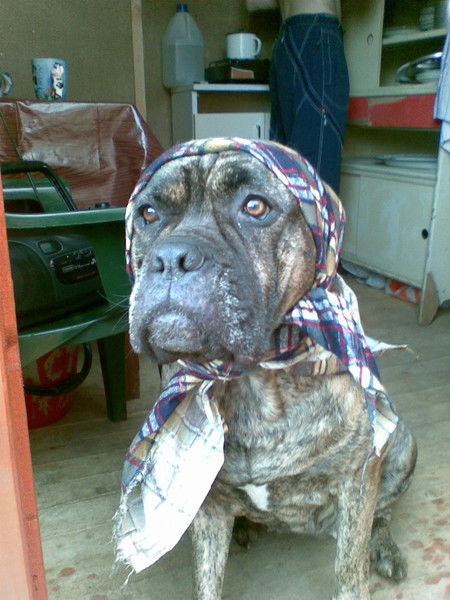 Ольга Никишина