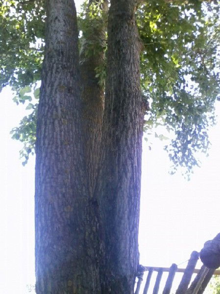 Галя Гизатуллина