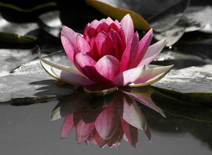 Людмила Михайличенко