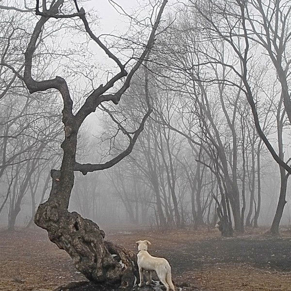 Людмила Смирнова