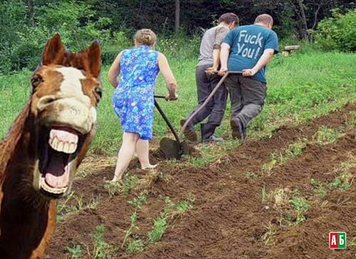 Виктор Богдан