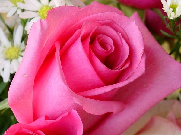 Мохидил Атажанова