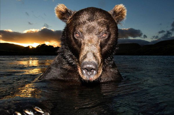 Дмитрий Ефимов