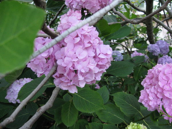 Нина Белова