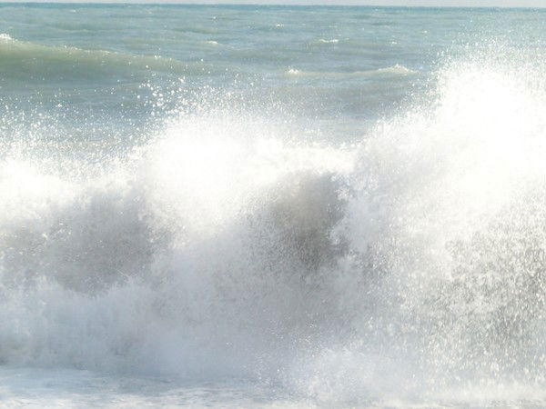 Ризван Маннанов