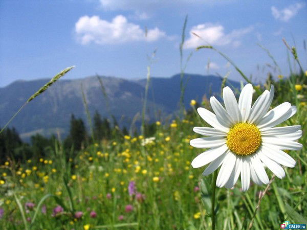 Технология Технология