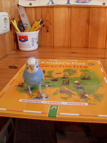 Миша Трималюк