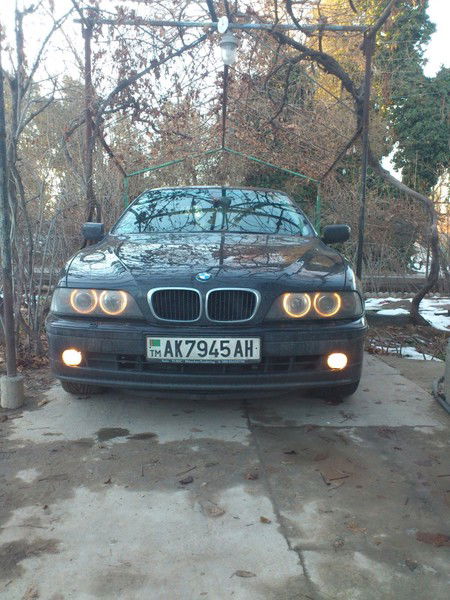 Денис Юрков