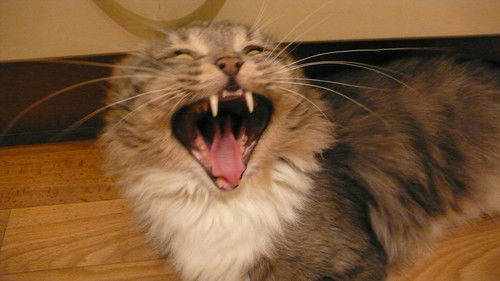 Космачев Вячеслав