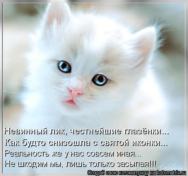 Екатерина Витальевна