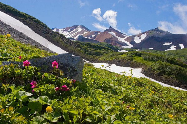 Ирина Вейсгейм