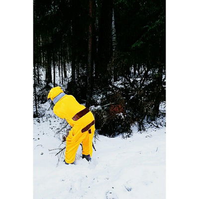 Диана Махмутова