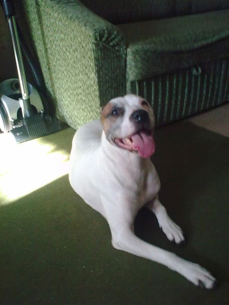 Сергей Логинов