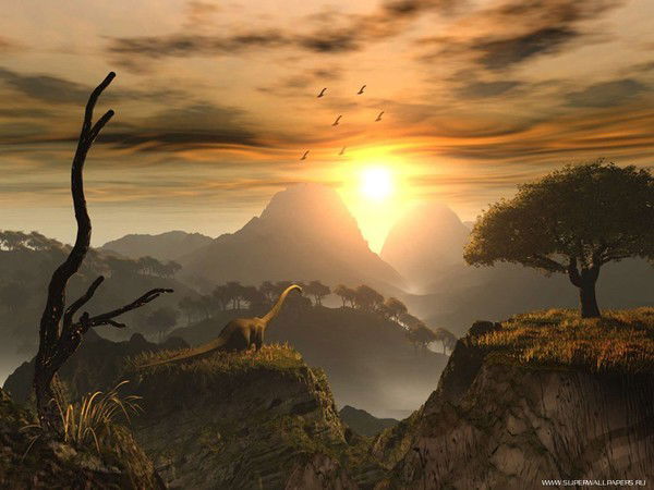 Дмитрий Волков