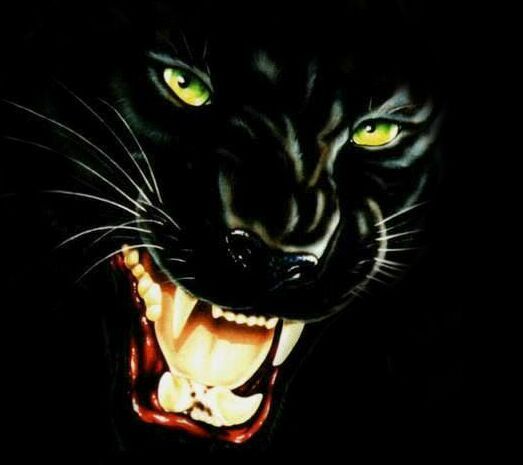 Марина Шарыпова