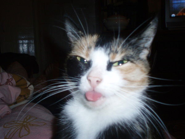 Елена Селезнева