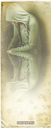 Николай Никитин