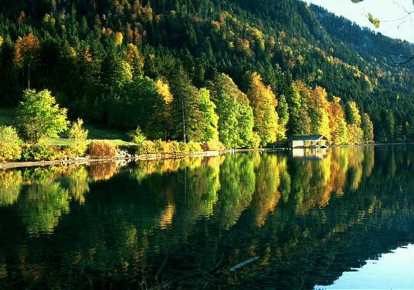 Фания Ибрагимова