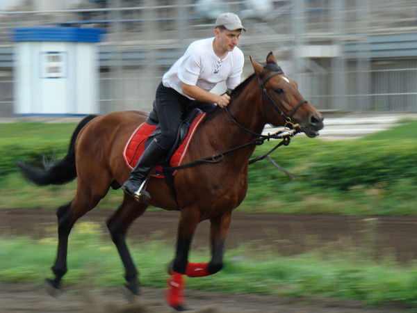 Иван Кухарь