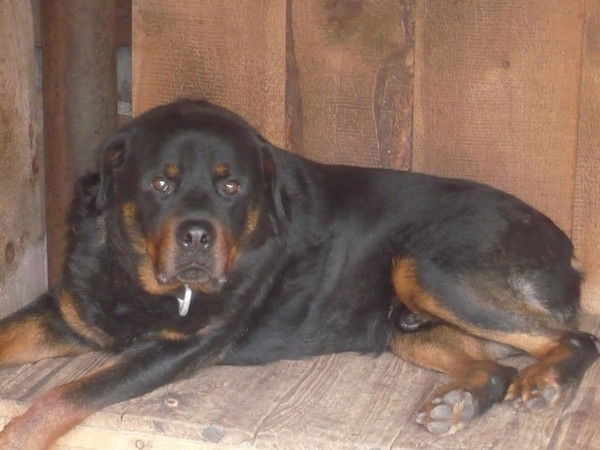 Сергей Скиданов