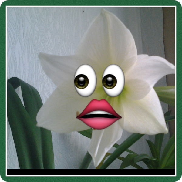 Любовь Кон....