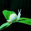 Ната Лебедева