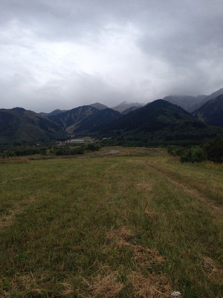 Али Габидин