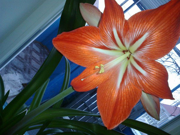 Настя Сатина