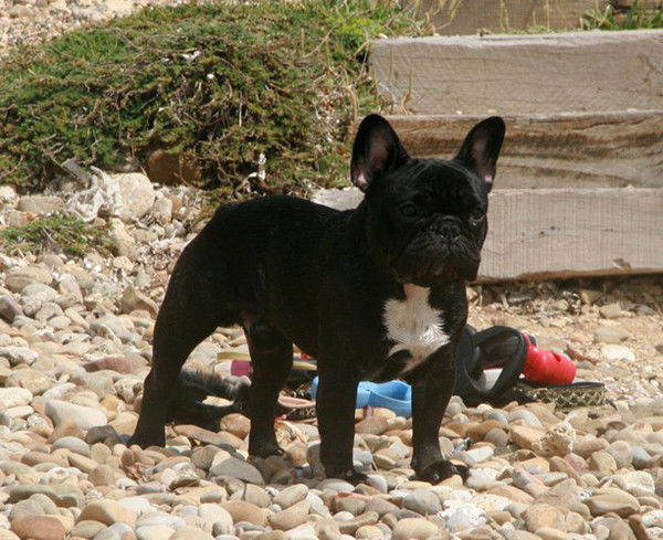 Ирина Купцова