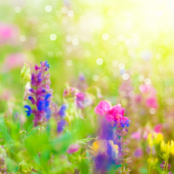 Алёна Фёдорова