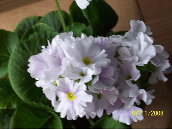 Марина Казанцева