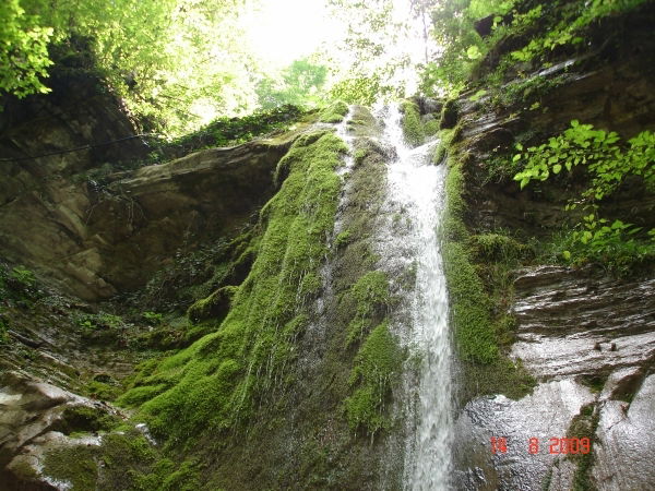 Надежда Стародуб